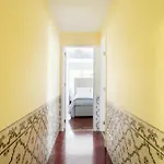 Spacious In Belem *