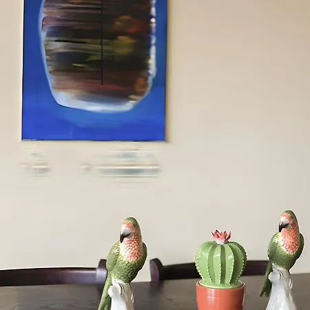 Spacious In Belem Apartment